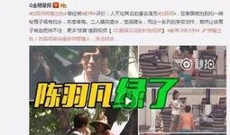 王小刀点评爆料视频大全,揭秘热门爆料视频背后的真相与内幕